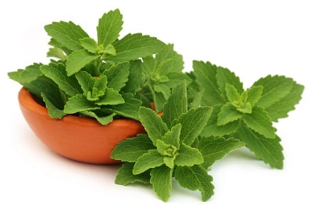 edulcorant naturel ig bas stevia
