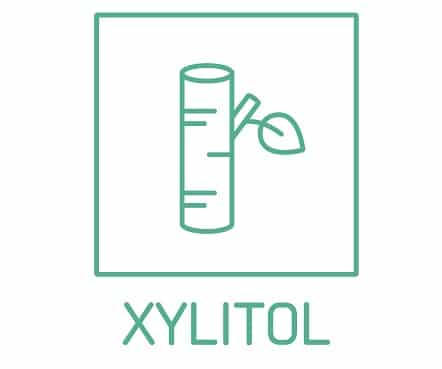 xylitol edulcorant naturel ig bas sucre de bouleau
